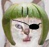 draco067's Avatar