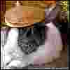 spork's Avatar