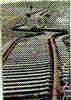 "Shanika"'s Avatar