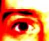 Paul_in_DC's Avatar