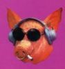 spigot52's Avatar