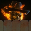 Wilson's Avatar