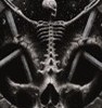 SlayerRX8's Avatar