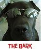 The_Bark's Avatar