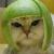 cjkim's Avatar
