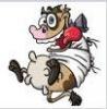 bse50's Avatar