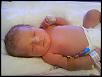 Queensland Cruising-dsc00122.jpg