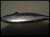 FS - Fender Strakes-p200208_08.48.jpg