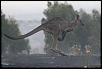 Message to everyone affected by the bushfires-0-6476528-00.jpg