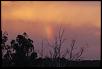 Message to everyone affected by the bushfires-dsc01169.jpg