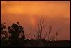 Message to everyone affected by the bushfires-dsc01170.jpg