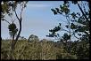 Message to everyone affected by the bushfires-dsc01196.jpg