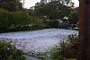 Anyone in Sydney cop HAIL DAMAGE-228-2900_img.jpg