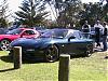 How many Kiwi's out there?-img_0250s.jpg