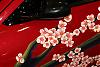 Elite RX-8s in Autosalon Melboune today-crw_0693_rj.jpg