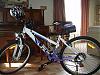 OT: How to ride Around the Bay in a Day (210km) when you are fat and useless.-newbike1.jpg