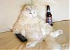 Just some funnies I found floating around...-atworkcat.jpg