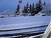 NO!!!  First snow of the year in Calgary!-snow1.jpg