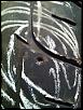 Bridgestone Potenza RE-11 - 225/40/R19 (Used set of 4)-img_3684a.jpg