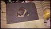 Trunk False Floor Amp Cover-image-2.jpg