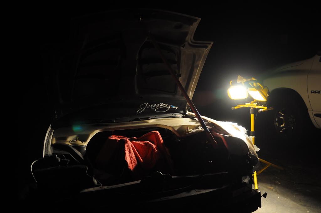 Name:  DSC_0875-1.jpg
Views: 58
Size:  42.2 KB