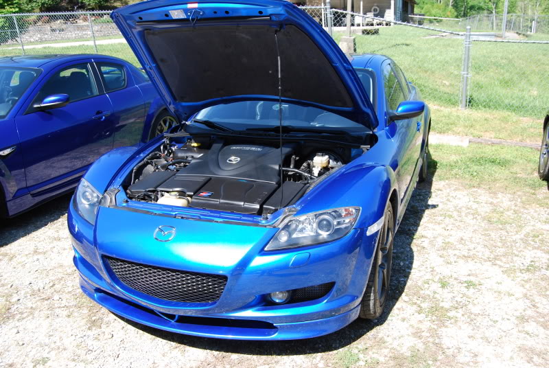 Name:  D05.jpg
Views: 30
Size:  128.5 KB