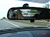 Greek  8 Owners-mirror-1.jpg
