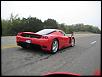 Lambos is cool too...-enzo-back.jpg