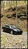 What was your previous car?-romp-leaves-full-frame.jpg