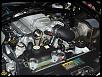 New Dodge Challenger-0eb34551f6214ac6a316b1422db8fcfc%5B1%5D.jpg