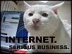 New Honda CR-Z front-end similar to RX-8-internet-serious-business-cat.jpg
