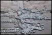 Mazda Not Affected by the Massive Quake in Japan-7777777.jpg