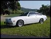 The Cosmo Sport-30677800001_large.jpg