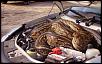 What not to do to your car!-644110_493855933958552_335408644_n.jpg