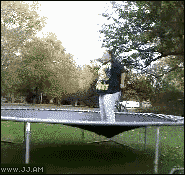 Name:  fatty-jumping-trampoline_zps2575104c.gif
Views: 48
Size:  1,021.6 KB