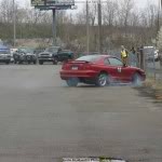 Name: mustang1.jpg
Views: 65
Size: 4.9 KB