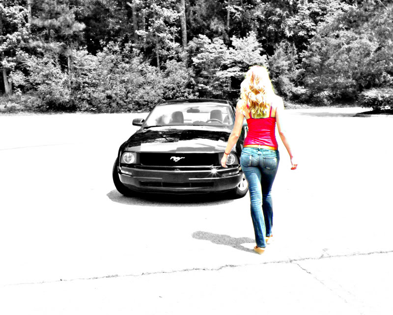 Name:  color.jpg
Views: 48
Size:  127.1 KB