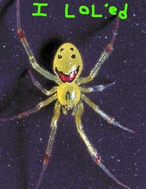 Name:  spider.jpg
Views: 272
Size:  22.4 KB