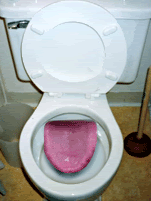 Name:  toilet-tongue.gif
Views: 38
Size:  23.5 KB