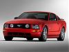 NO 05' Stang For You!-mst05_expopup_6.jpg