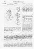 Diesel Rotary?-page102.jpg