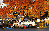 Mazda6 MPS (MS6) IN Targa Tassie Rally-mps-targa.gif