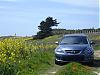 Mazdaspeed 3 or Volvo C30 -- whatcha think?-beach-small-4.jpg