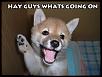 Bad Guy: MM (Jeff)-hayguys.jpg