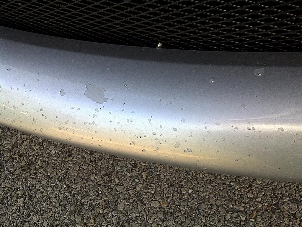 Name: bumper41.jpg
Views: 31
Size: 154.8 KB