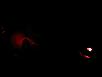 Custom LED Footwell Lights!!!-img_0755.jpg
