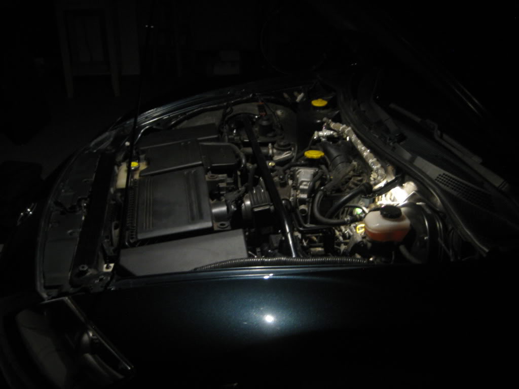 Name:  IMG_7469.jpg
Views: 145
Size:  57.8 KB