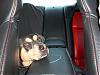 (CLOSED) GB: www.ZetaProducts.net RX-8 Cushion Pad Set-armrest.jpg