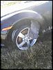 Black TX RX-8 found dead on OK hwy (graphic content)-850a0049b.jpg
