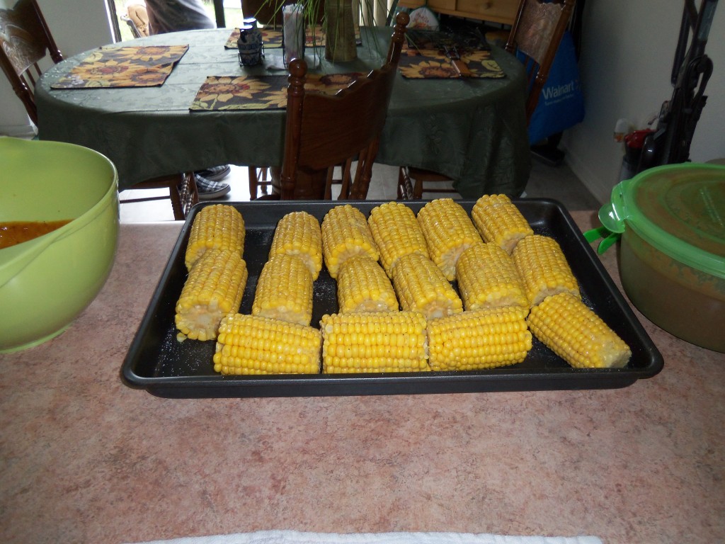 Name: SARXBBQatthehouse019.jpg
Views: 21
Size: 204.6 KB